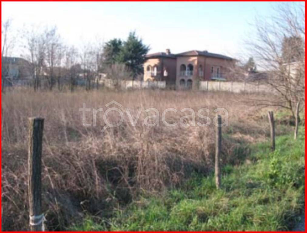 immagine annuncio 3 di 12