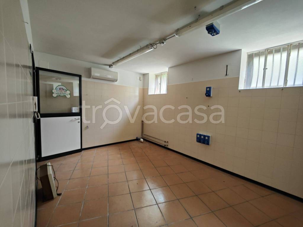 immagine annuncio 9 di 14