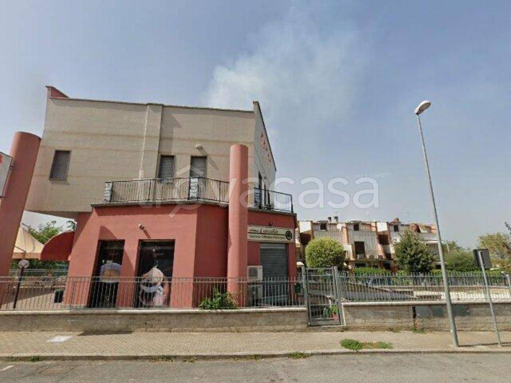 immagine annuncio 3 di 15
