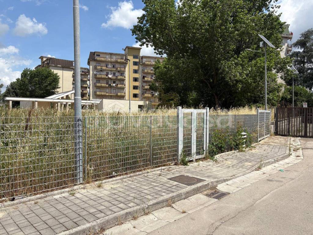 immagine annuncio 10 di 11