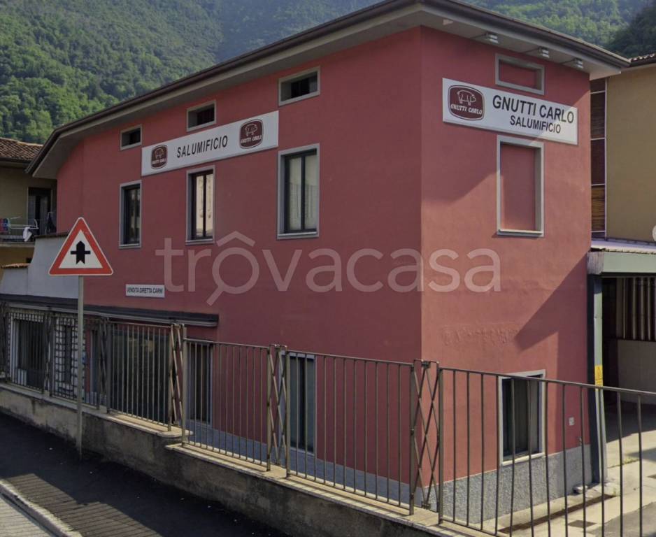 immagine annuncio 4 di 12