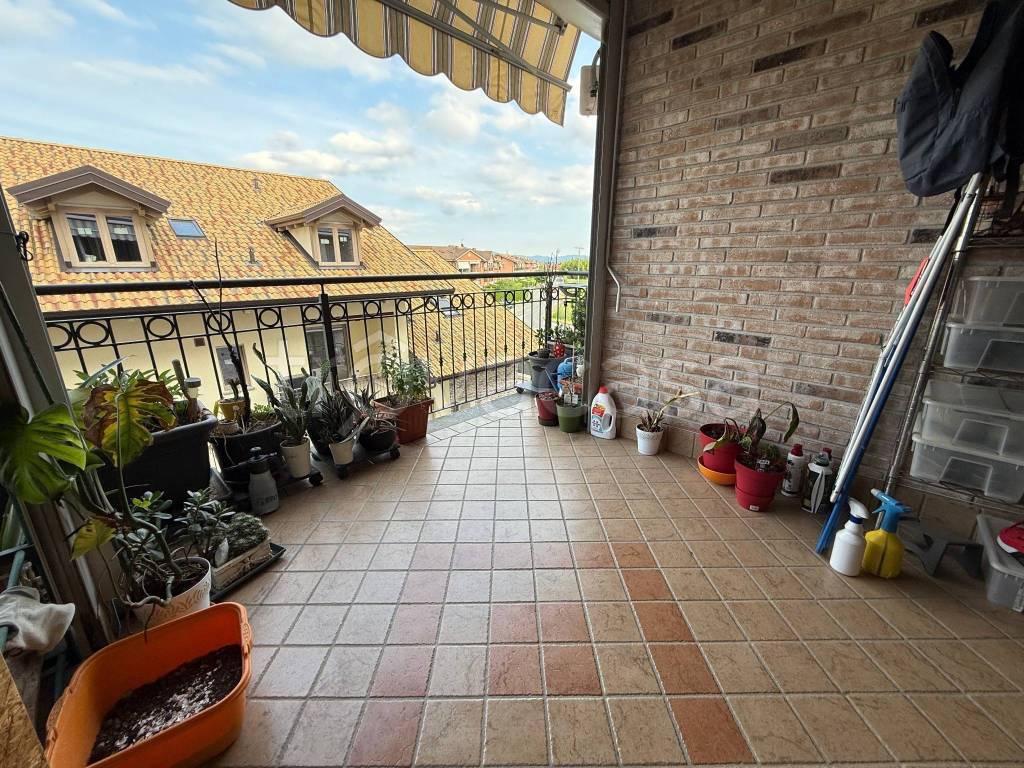 immagine annuncio 1 di 14
