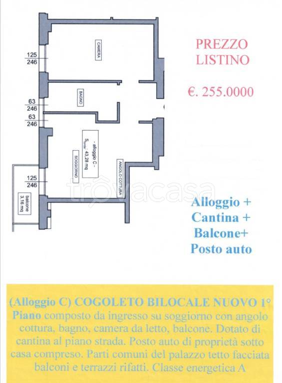 immagine annuncio 7 di 8