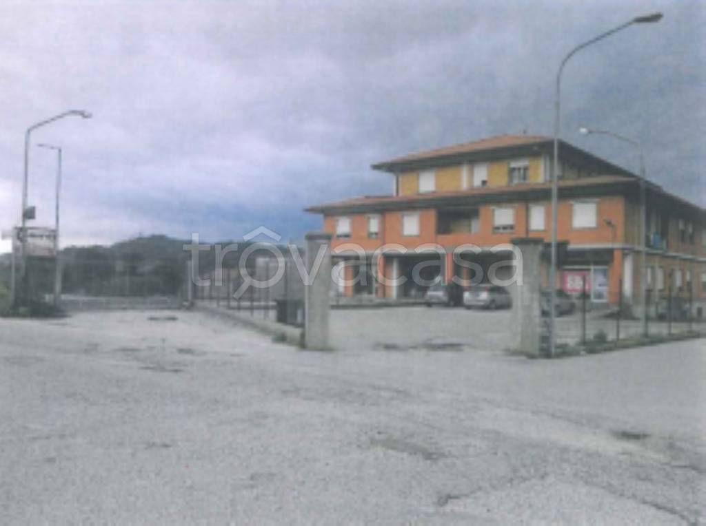 immagine annuncio 6 di 11