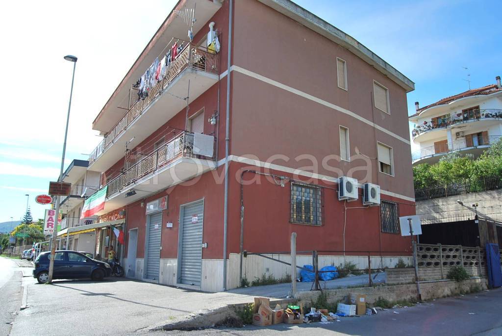 immagine annuncio 2 di 12