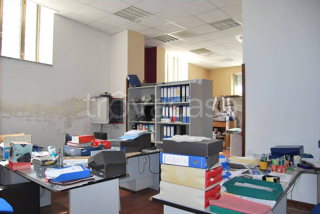 immagine annuncio 5 di 12