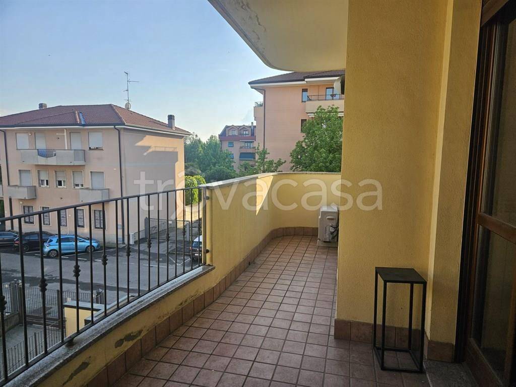immagine annuncio 1 di 13