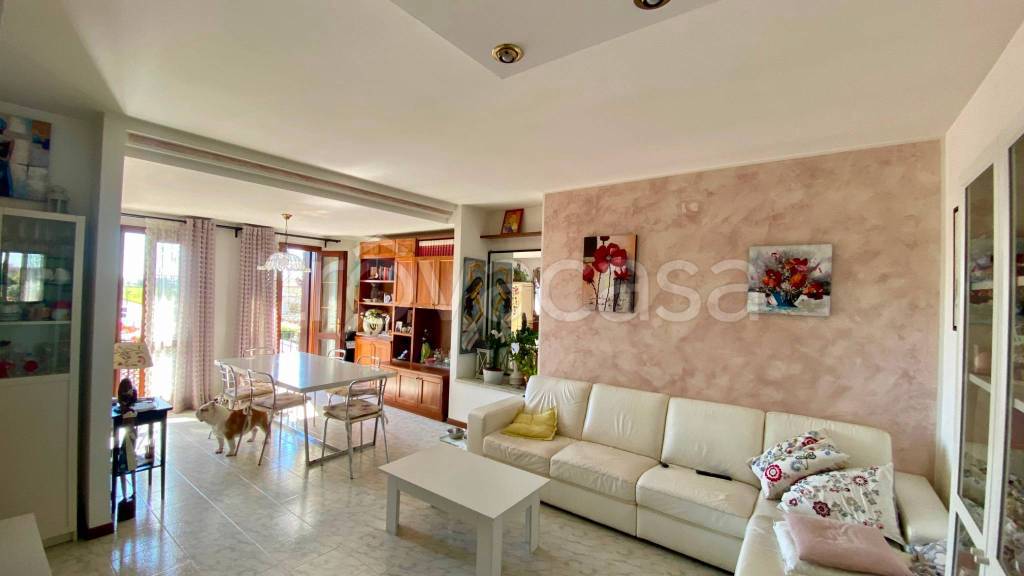 immagine annuncio 1 di 13