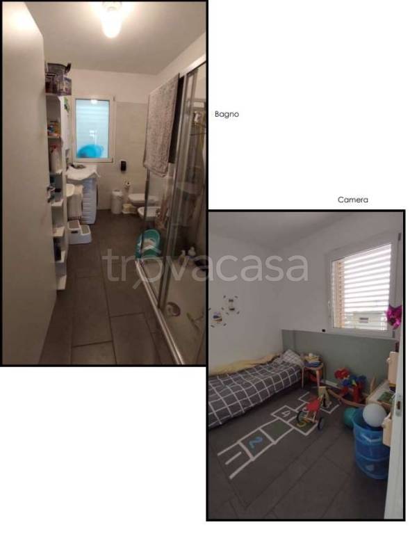 immagine annuncio 2 di 6