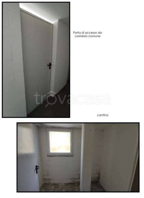 immagine annuncio 6 di 8
