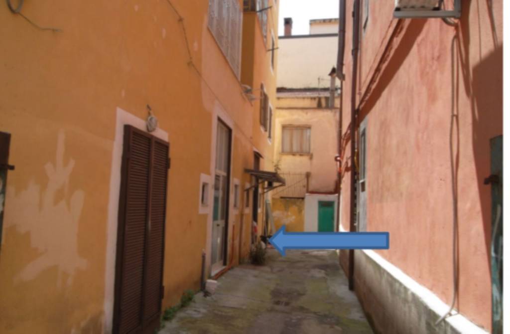 immagine annuncio 3 di 11