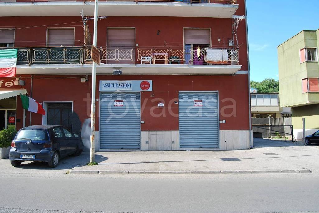 immagine annuncio 1 di 12