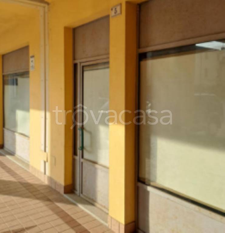 immagine annuncio 7 di 12