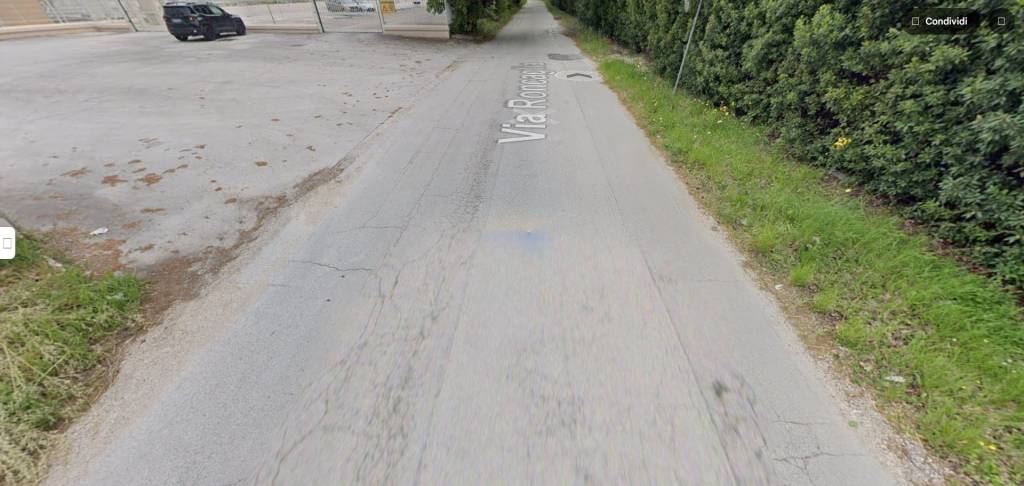 immagine annuncio 3 di 13