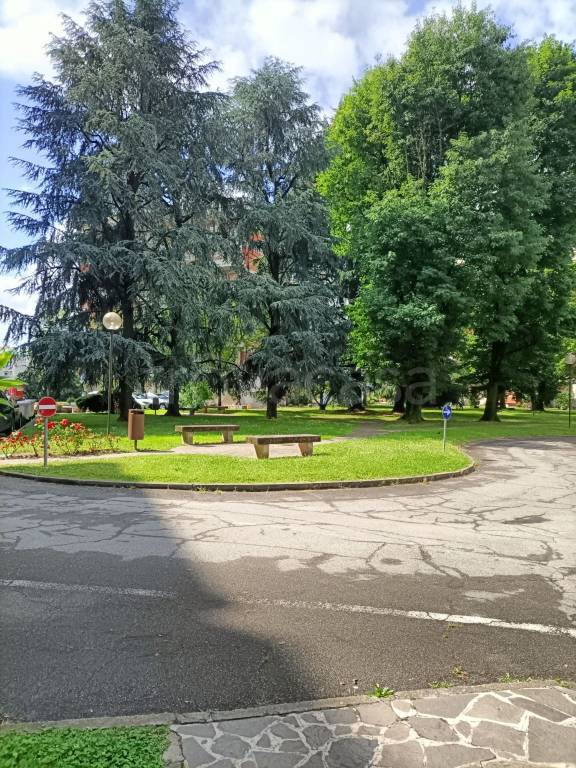 immagine annuncio 1 di 4