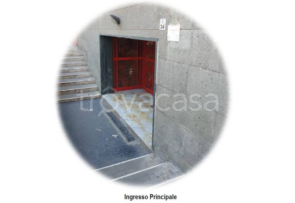 immagine annuncio 11 di 14
