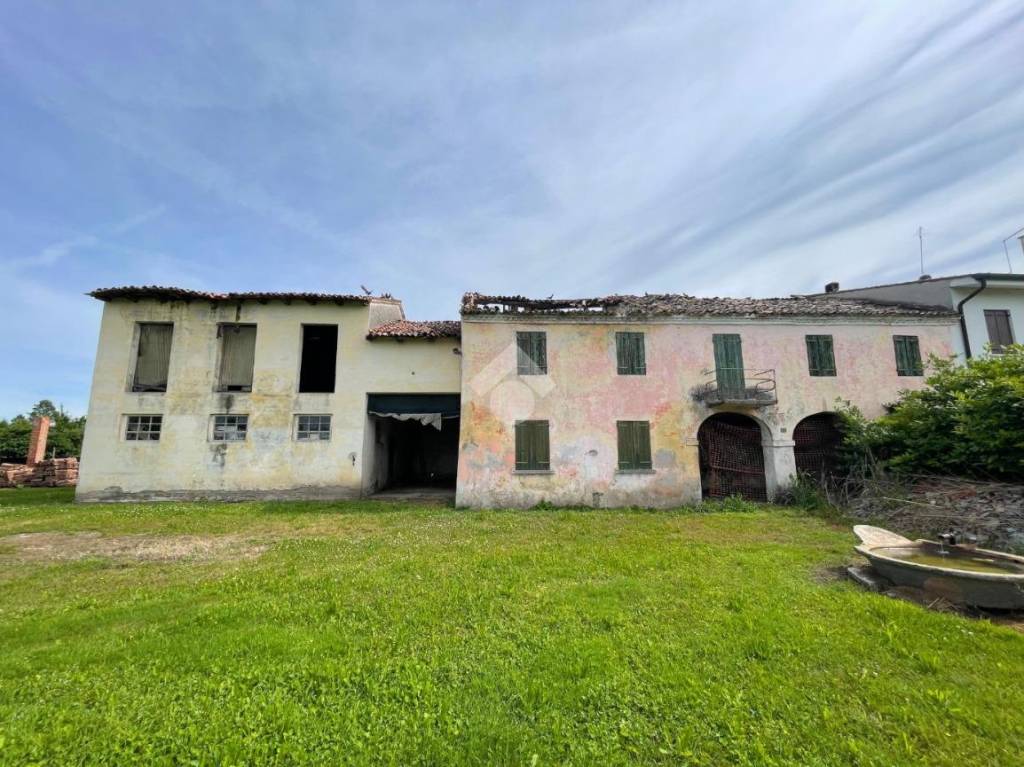 immagine annuncio 7 di 11