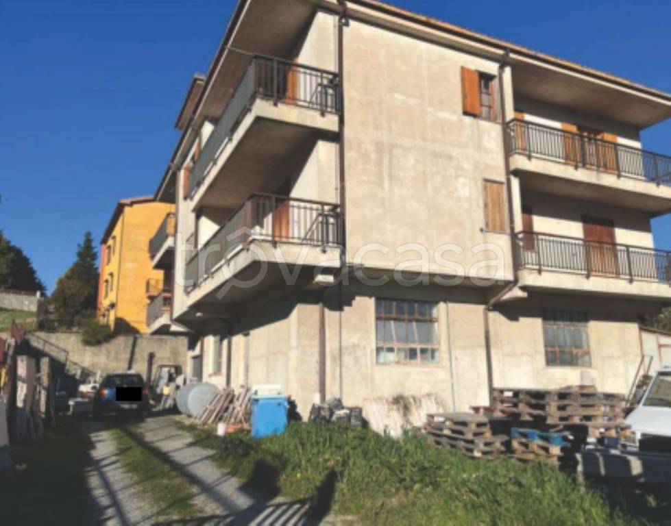immagine annuncio 5 di 11