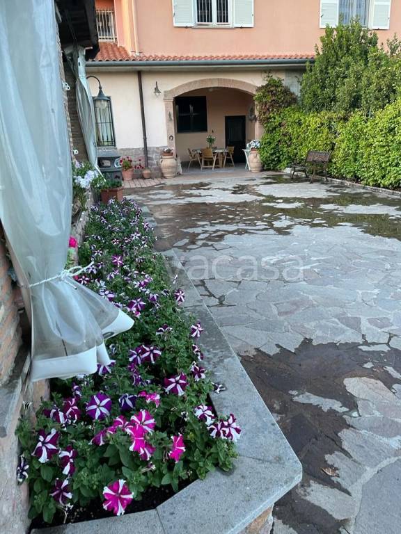 immagine annuncio 9 di 12