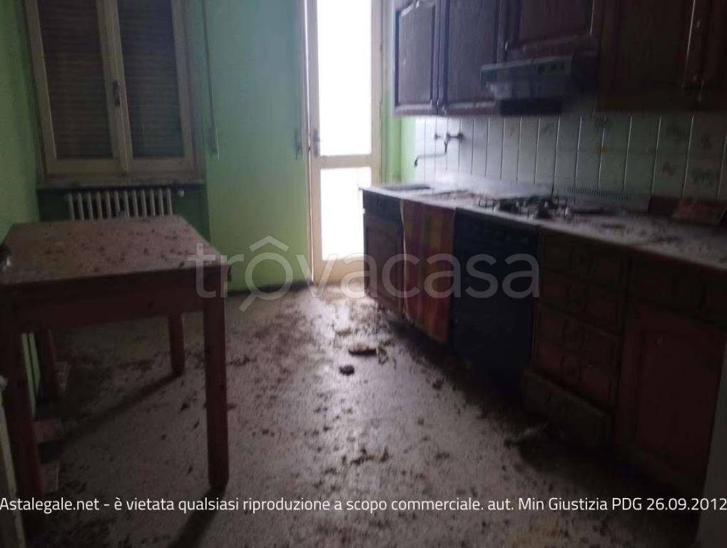 immagine annuncio 5 di 14