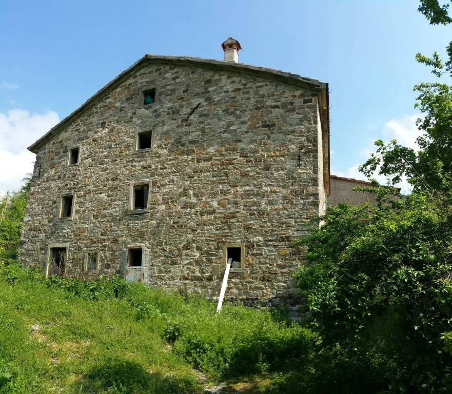 immagine annuncio 3 di 13