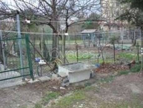 immagine annuncio 1 di 8
