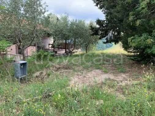 immagine annuncio 10 di 14