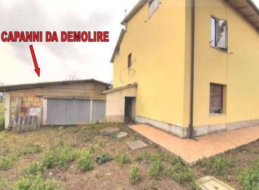 immagine annuncio 4 di 12