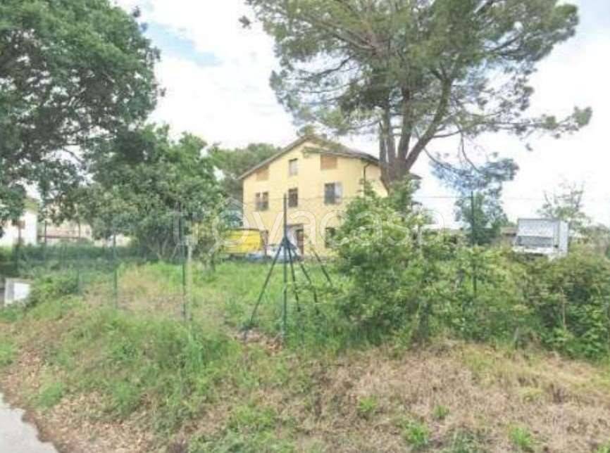 immagine annuncio 6 di 12