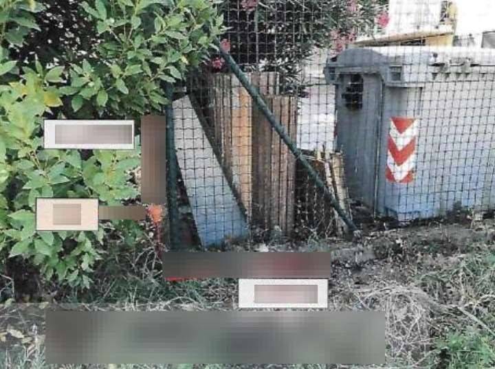 immagine annuncio 12 di 15