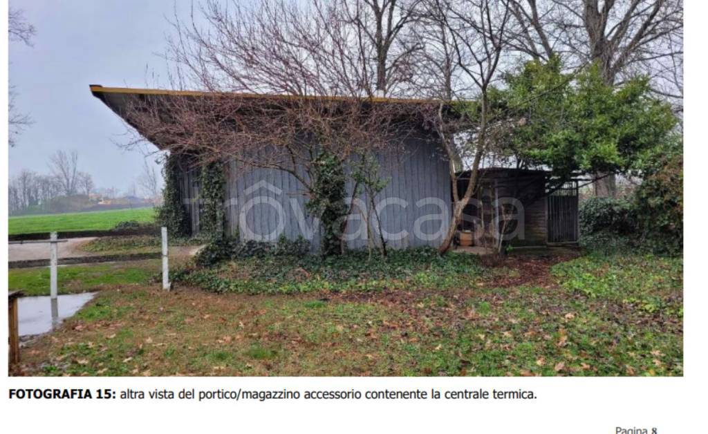 immagine annuncio 2 di 15
