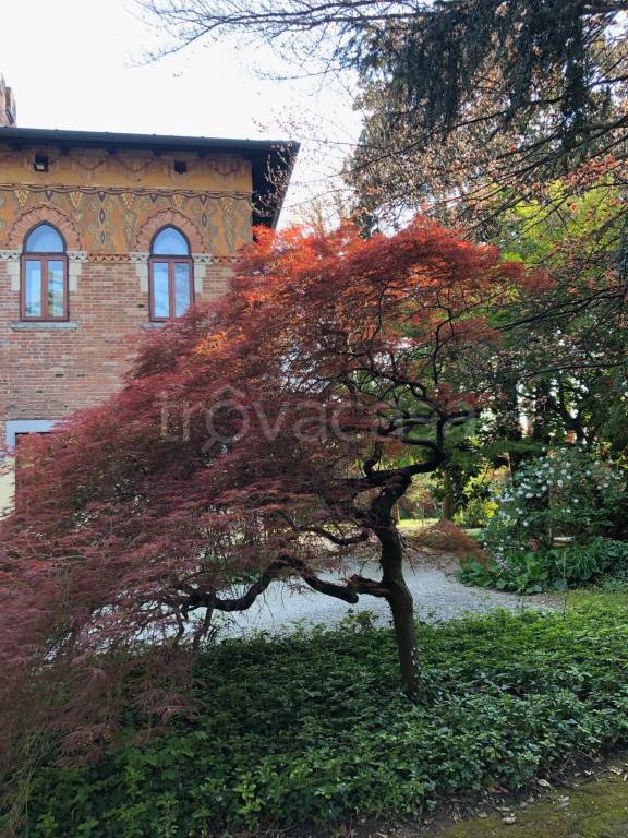 immagine annuncio 10 di 12