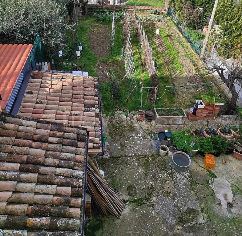 immagine annuncio 2 di 14
