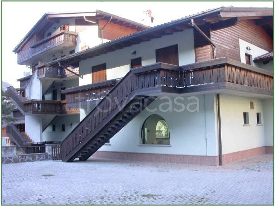 immagine annuncio 9 di 13