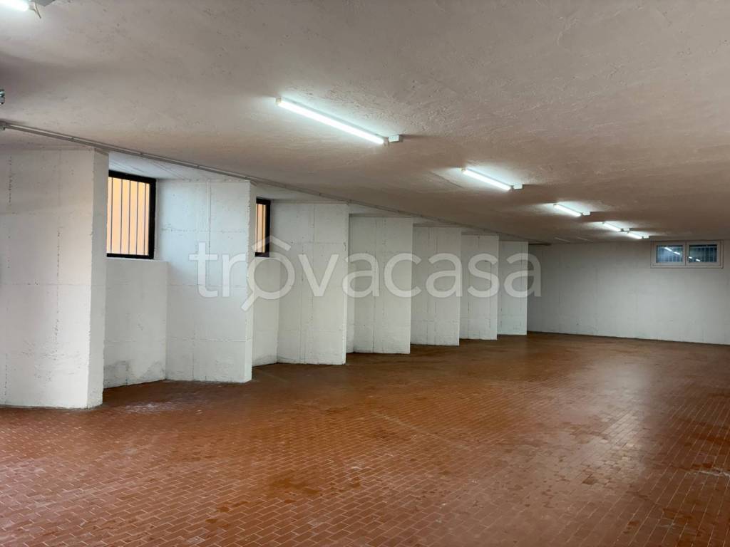 immagine annuncio 9 di 12