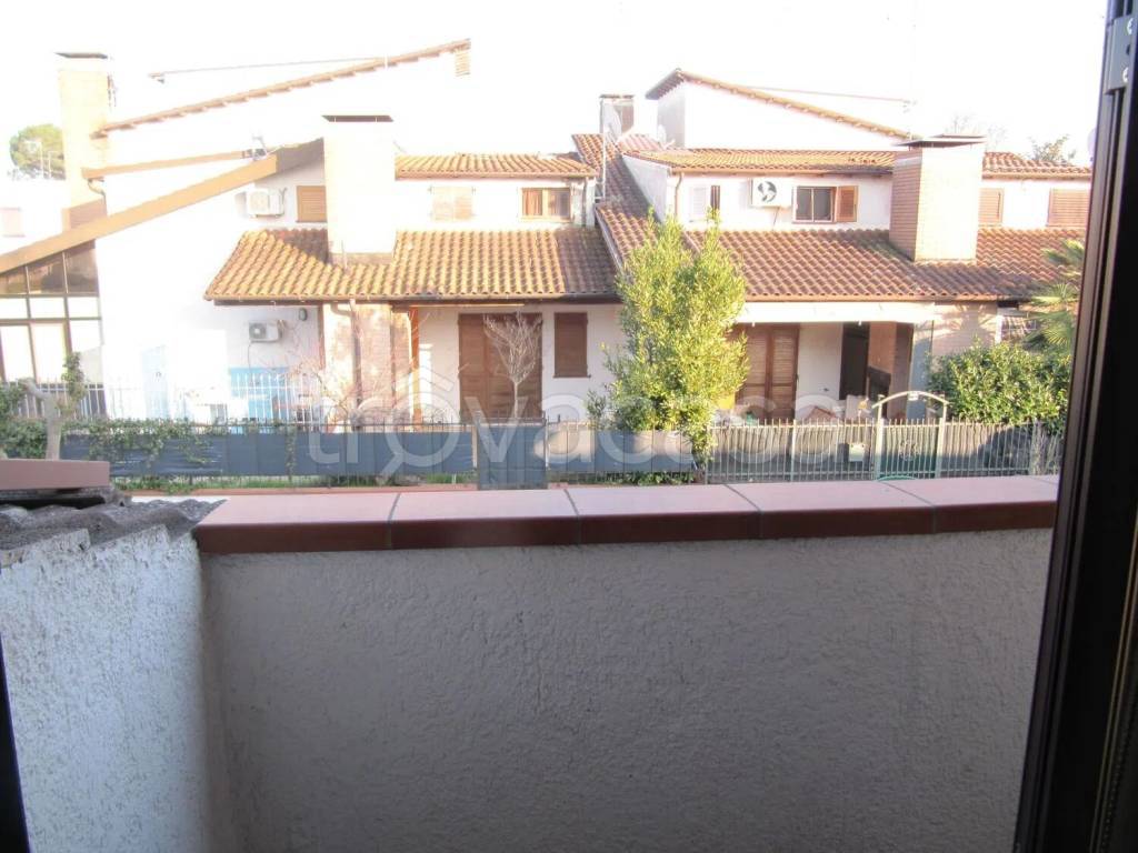 immagine annuncio 9 di 14