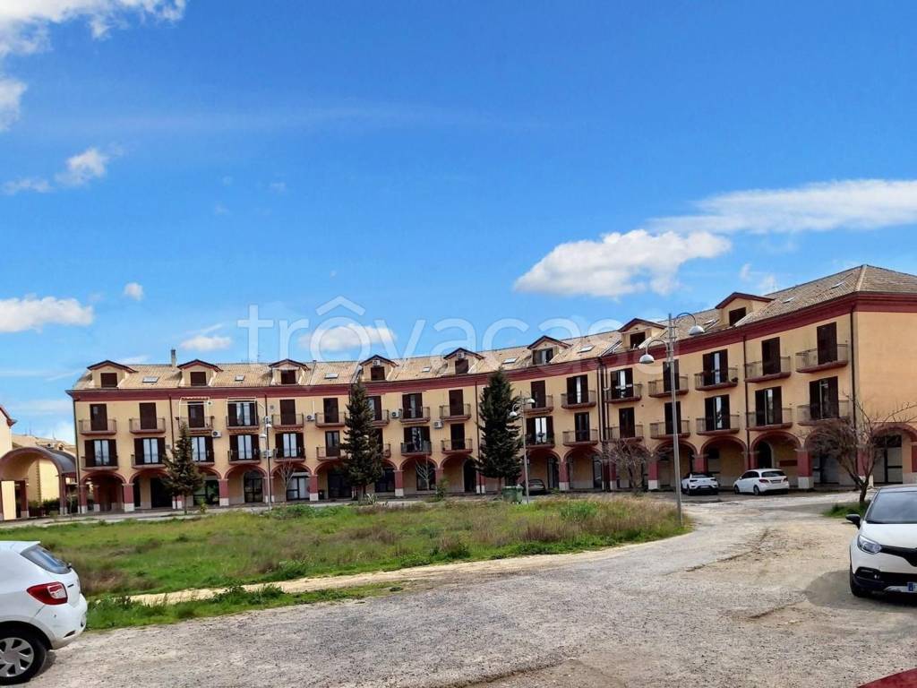 immagine annuncio 5 di 14