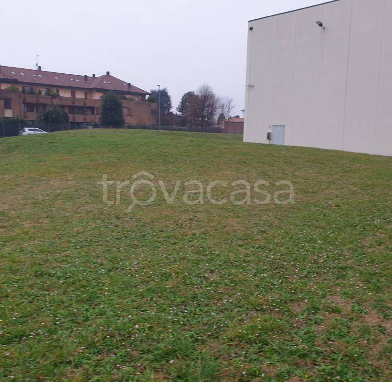 immagine annuncio 3 di 12
