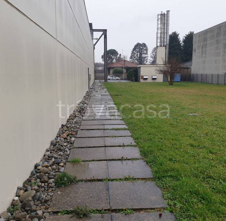 immagine annuncio 5 di 12