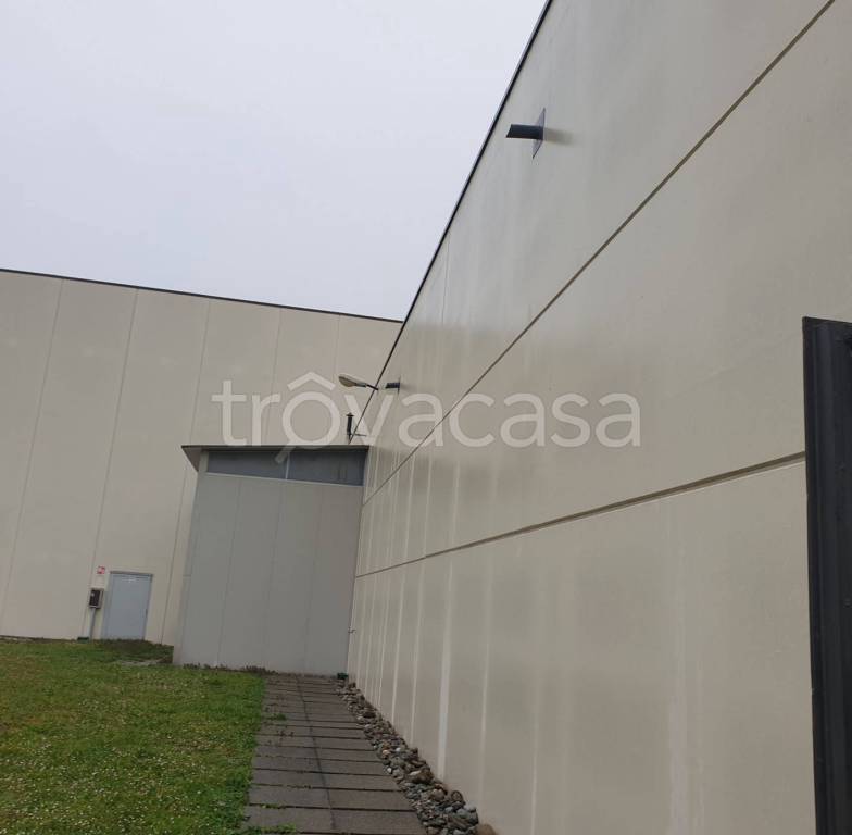 immagine annuncio 8 di 12