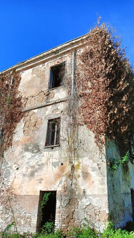 immagine annuncio 4 di 13