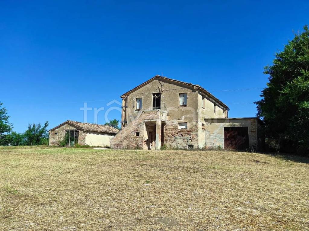 immagine annuncio 3 di 11