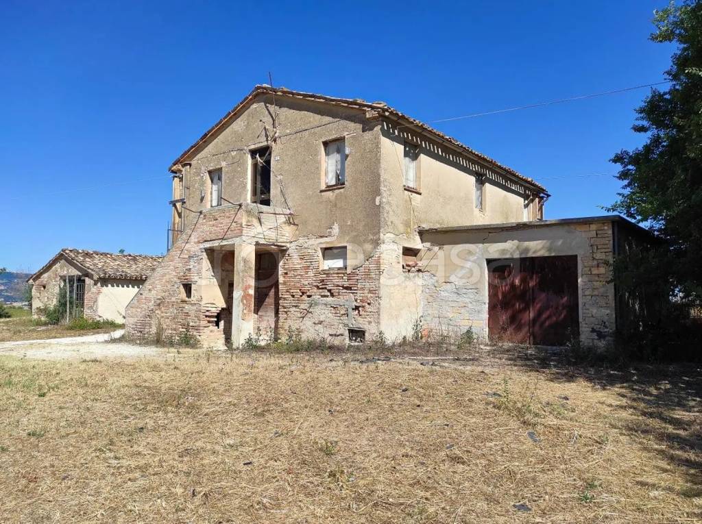immagine annuncio 4 di 11