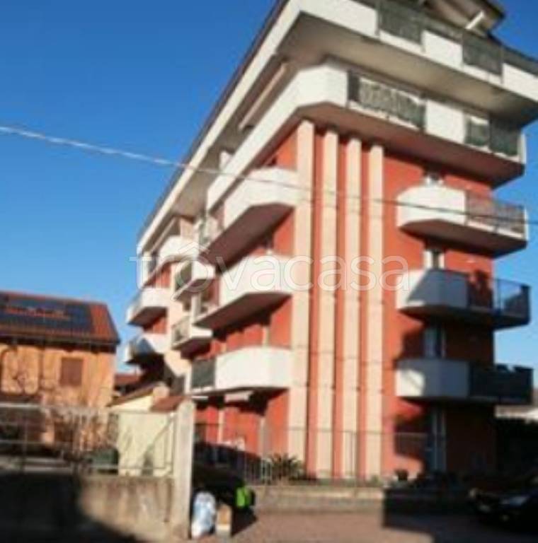 immagine annuncio 1 di 12
