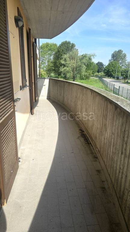 immagine annuncio 7 di 12