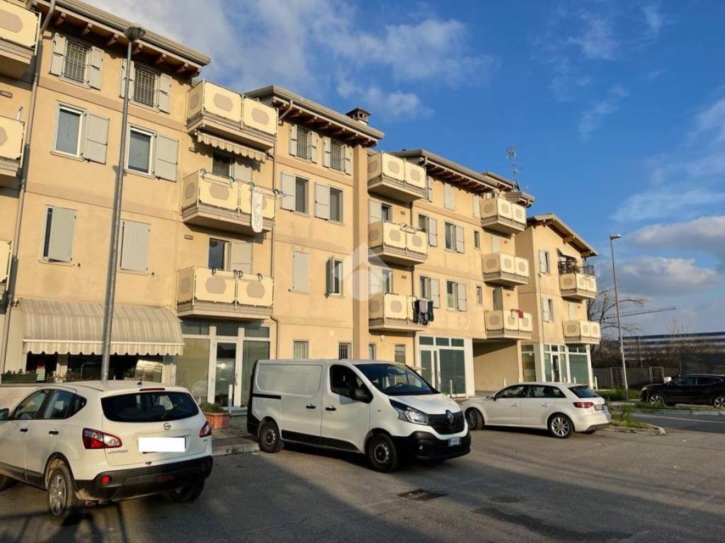 immagine annuncio 9 di 15