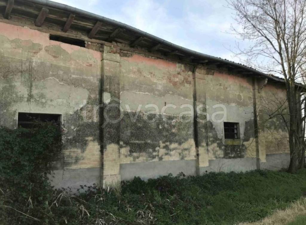 immagine annuncio 11 di 12
