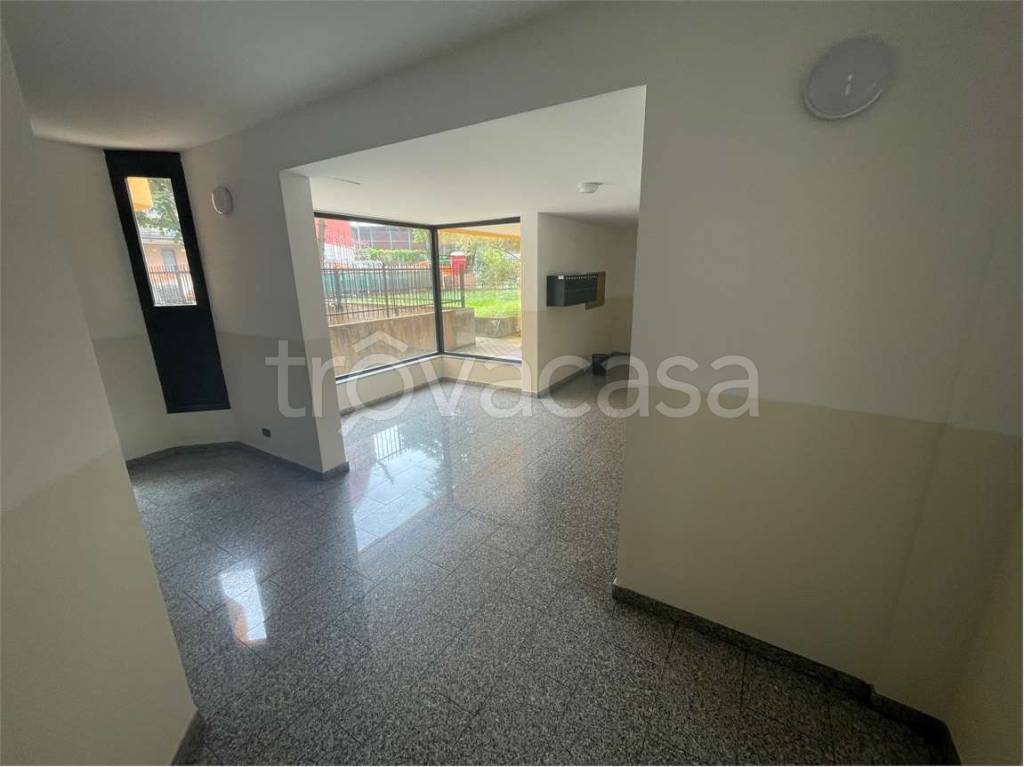 immagine annuncio 3 di 14