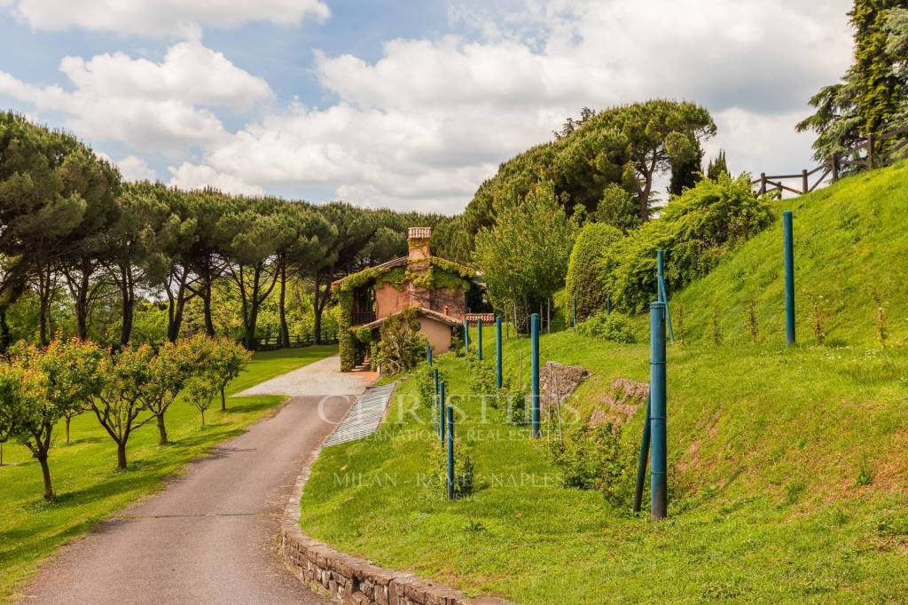 immagine annuncio 12 di 15