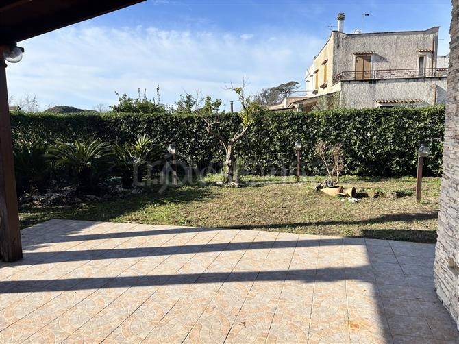 immagine annuncio 9 di 12